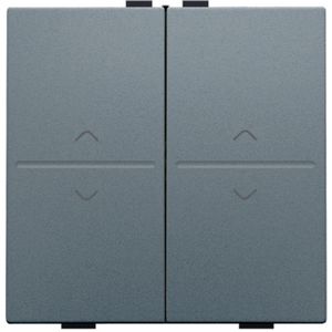 2-voudige toets pijltjes "op"en"neer" RF schakelaar blue gr