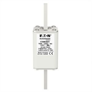 Zekering h. snelheid 100A AC 1250V 100kA compact 1 45 VVE=2