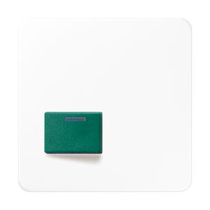 Afdekking alp.wit voor Ackermann CD500