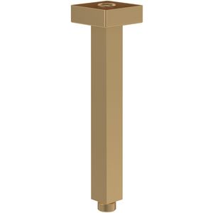 Regendouchearm Universal Showers Brushed Gold TVC00045454076