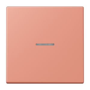 Stuurafdekking 1-voudigoudig LC32111 HOME