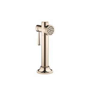 VAIA Spoeldouche-garnituur Champagne (22kt Goud)