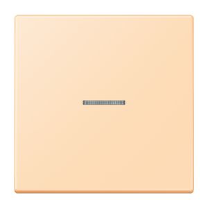 Stuurafdekking 1-voudigoudig LC32060 HOME