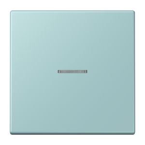 Stuurafdekking 1-voudigoudig LC32033 HOME