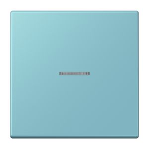 Stuurafdekking 1-voudigoudig LC32032 HOME