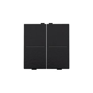 2-voudige toets RF schakelaar/drukknop pianoblack