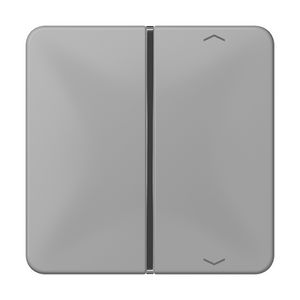 Tastafdekking 1-voudig pijl CD grijs KNX