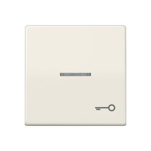 Schakelw.AS500 wit m.lens&symb. sleutel