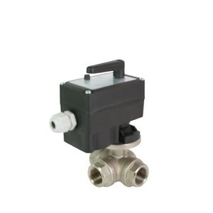 3-weg motorkogelkraan 3/4" 230V 1 hulpcont. EA80R