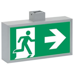 Noodverlichting plafond decentraal AT/CGLine+ vluchtroute aand. 32m