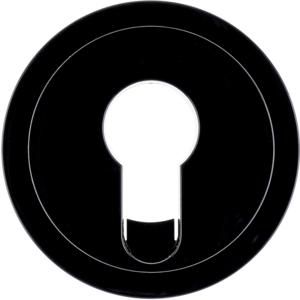 Centraald. sleutelsch/impulsdrukker berker R.1/R.3 zwart