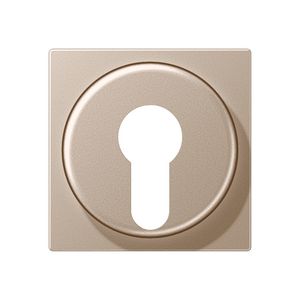 Afdekking sleutelschak. A500 champagne