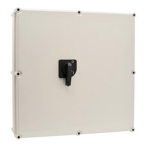 Werkschakelaar polyester behuizing vlag 160A 4-polig AE-120081