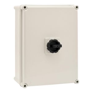 Werkschakelaar polyester behuizing 100A 4-polig AE-120068