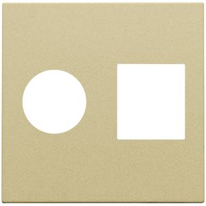 Afwerkingsset enkelvoudige coax/netwerkaans. RJ45 gold