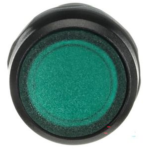 Verlichte drukknop Groen met 1NO