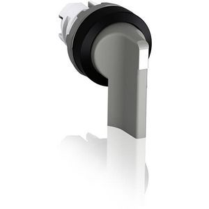 Keuzeschakelaar lange hendel 2 standen grijs 1SFA611203R1007