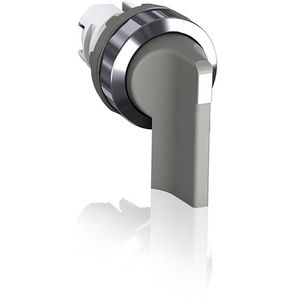 Keuzeschakelaar lange hendel 2 standen grijs 1SFA611203R2007