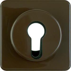 Afdek. v sleutelSchakelaar/-imp.dr. IP44 inbouw bruin