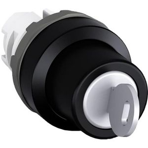 Sleutel bediende keuzeschakelaar 2 posities