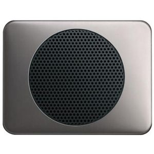 Centraalplaat voor radioluidspreker a-platin (8253-20)