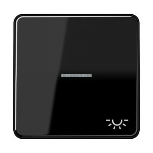 Schakelwip CD500 zwart met lens&lichtsymbool