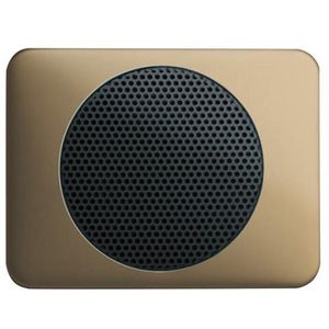 Centraalplaat voor radioluidspreker a-brons (8253-21)