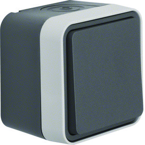 Kruisschakelaar+behuizing W.1 grijs