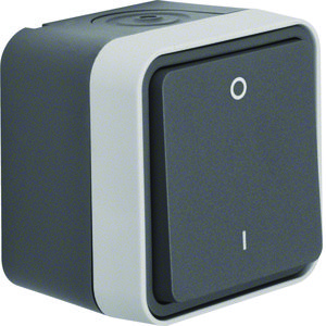 2-polige schakelaar+behuizing W.1 grijs