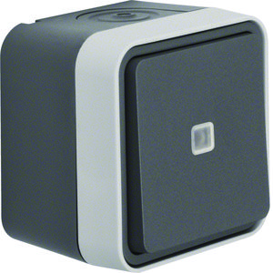 Draai-impulsdrukker (verbreek + maak) Serie 1930/Glas/R.clas