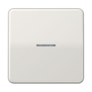 Stuurafdekking CD 1voudig lichtgrijs HOME