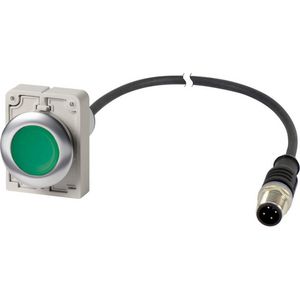 Signaaldrukknop M30C Compact groen vlak 1no/0nc M12A 186005