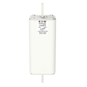 Zekering hoge snelheid 250A AC 3000V special 3 aR Vis VVE=2