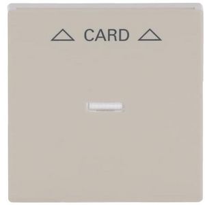Centraalplaat afdekking v card-Schakelaar s-ivoorwitwit