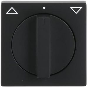 Centraalplaat + greep voor jal draai f-matzwart (1740-885)