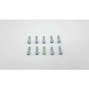 Schroef M8 x 22 (10x)