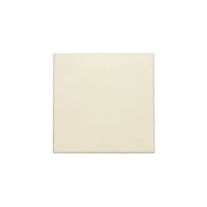 Spuitwaterdichte blindplaat cream