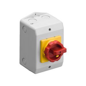 Werkschakelaar 16A 2-polig opbouw IP65 A532215