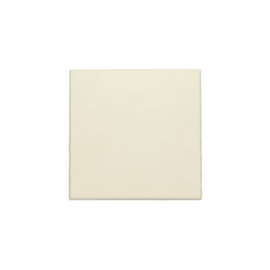 Spuitwaterdichte blindplaat cream
