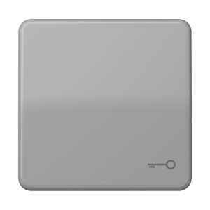 Schakelwip CD500 grijs met symb sleutel