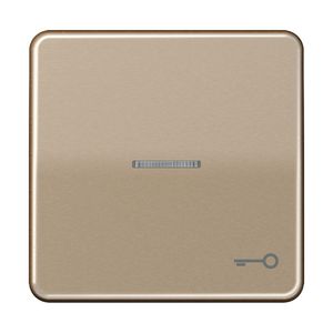 Schakelwip CD500 g.br.met lens&sleut.symbool