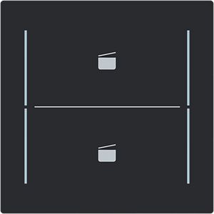 Centraalplaat afdekking 2v knop scenesymbool Art-matzwart (LFST/A.2.70.11-45M)