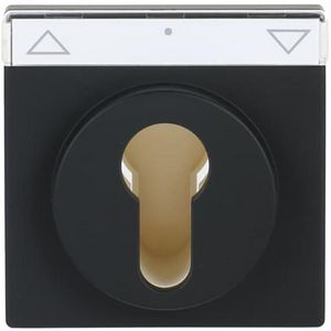 Centraalplaat slot f-matzwart (1755 SL/PZ-885-101)