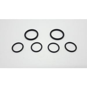 Set O-ringen montageframe