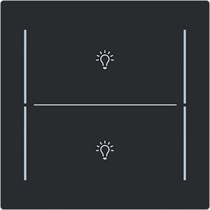 Centraalplaat afdekking 2v knop lichtsymbool Art-matzwart (LFBT/A.2.70.11-45M)