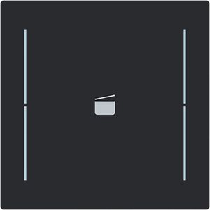 Centraalplaat afdekking 1v knop scenesymbool Art-matzwart (LFS/A.1.70.11-45M)