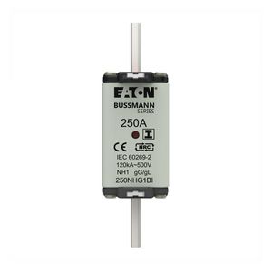 Zekering laagsp. 250A AC 500V NH1 gL/gG dubbele meld VVE=3