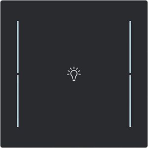 Centraalplaat afdekking 1v knop lichtsymbool Art-matzwart (LFB/A.1.70.11-45M)