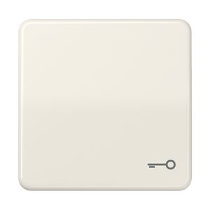 Schakelwip CD500 wit met sleutel symbool