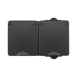 Opbouw Wandcontactdoos 2-voudig Horizontaal IP55 Zwart VVE=8